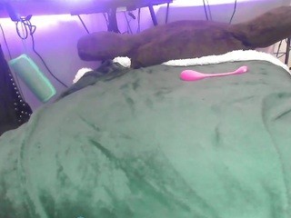 BambiBlazeIt nude on cam – live sex chat