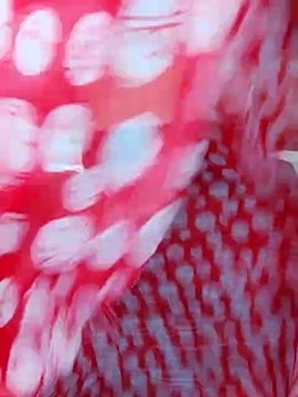 Hot_Telugu_Queen nude stripping on cam for online porn video show