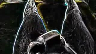 My xArt dark Handjob v02